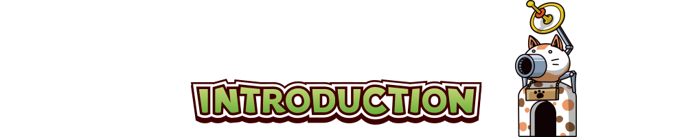 INTRODUCTION