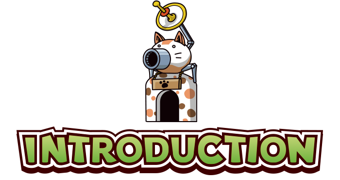 INTRODUCTION