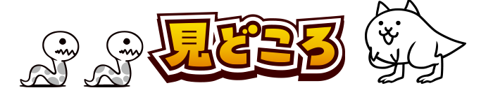 見どころ